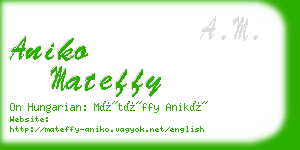 aniko mateffy business card